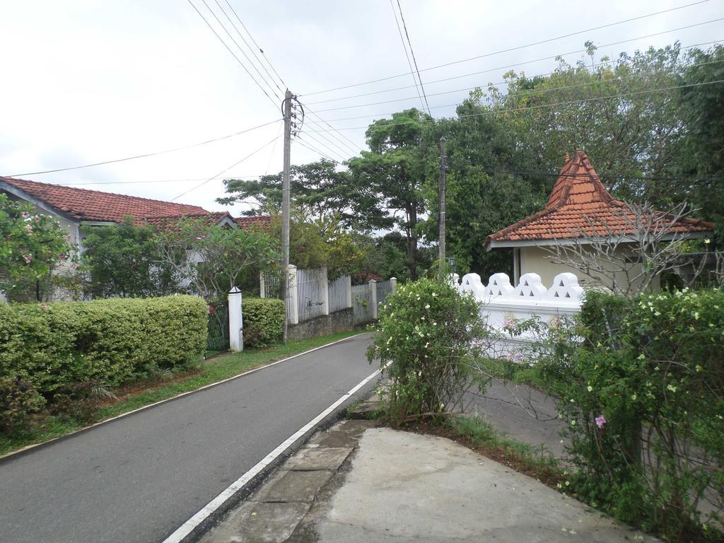 Primrose Hill Holiday Bunglow Kandy Exterior foto