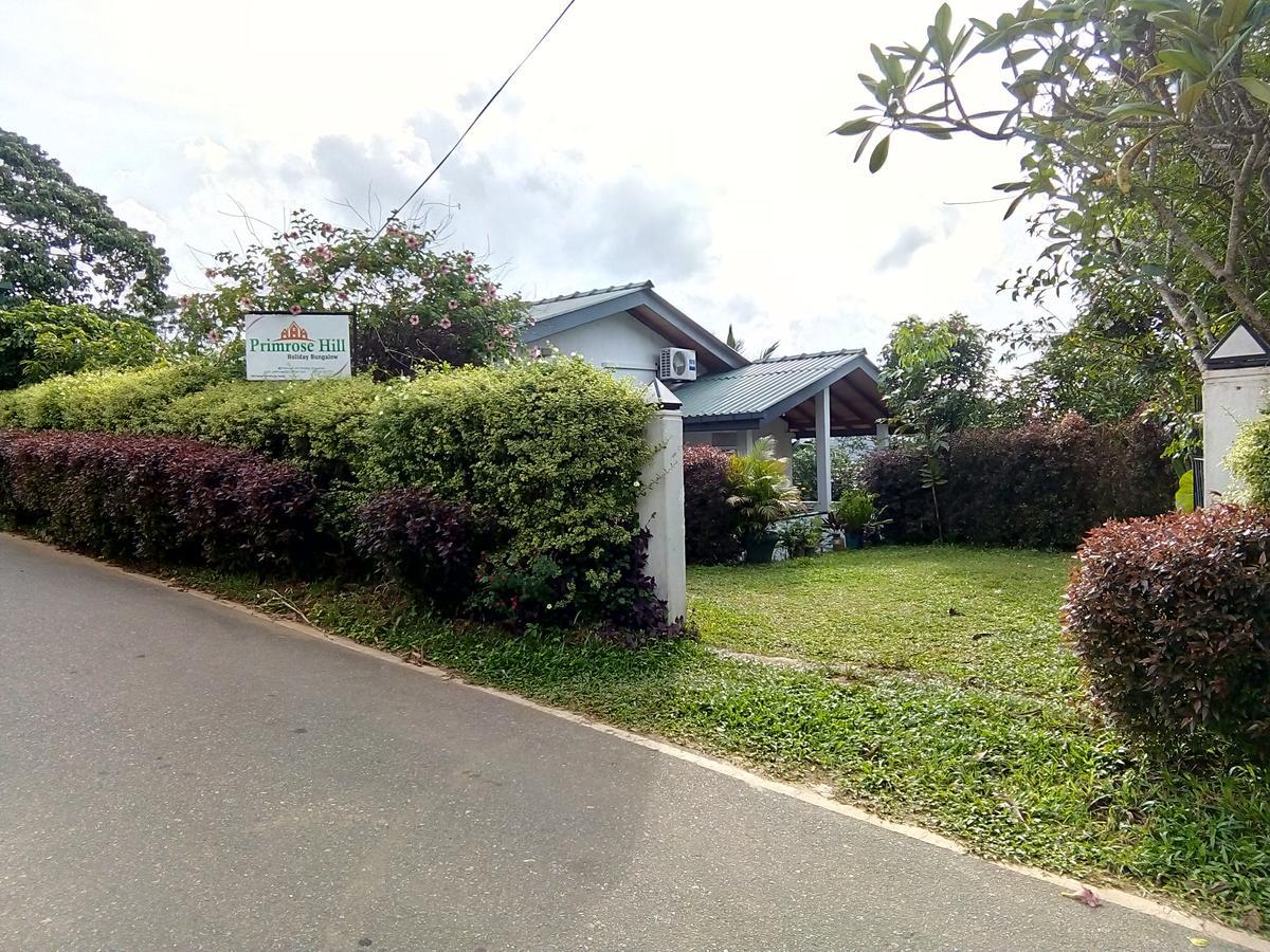 Primrose Hill Holiday Bunglow Kandy Exterior foto